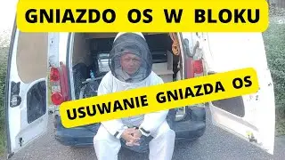 Usuwanie gniazda os w bloku - jak usunąć gniazdo os - Wigo Serwis Poznań