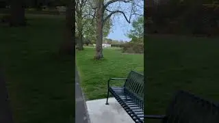 Sharing with you, amazing views from London parks Morning walk | weakly walk #shortsyoutube #shorts