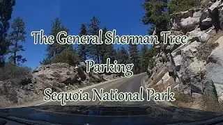 P6 - Sequoia National Park - Parking at The General Sherman Tree