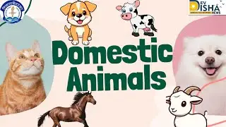 Domestic Animals Name & Sounds | Fun Learning for Kids 🐑🐐