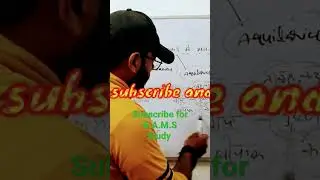 B.A.M.S study