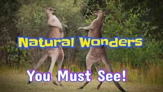 7 Natural Wonders of Australia You Won&rsquo;t Believe 🦘 7 Breathtaking Natural Wonders You Must See!