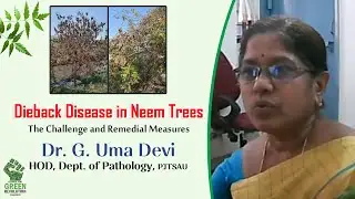 Prof G Uma Devi - HOD, Dept. of Pathology, PJTSAU | Dieback Disease in Neem Trees | Earth Leaders