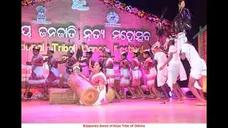 Bijapandu dance of Koya Tribe of Odisha