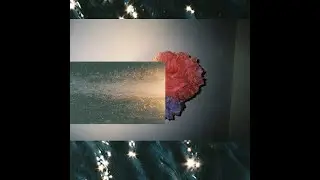 Vesce - DSCVRY