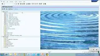 Sap Fica Tutorial