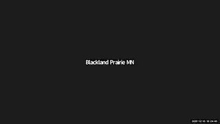 Blackland Prairie Chapter Deep Dive on UNT Ecological Action Studio 2025 Updates with Jaime Baxter