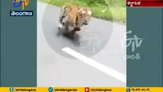 Forest Officials Narrow Escaped | After Leopard Tries to Attack | at Bandipur of Karnataka