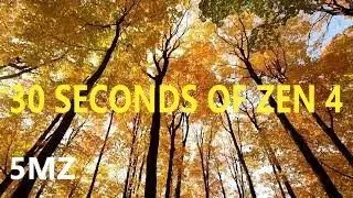 30 Seconds of Zen 4 (5mz)