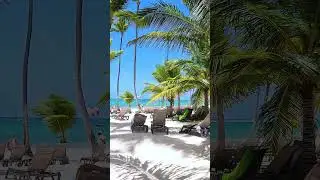Nice Beach at Occidental Punta Cana, All Inclusive Resort Dominican Republic! #shorts #beach #travel