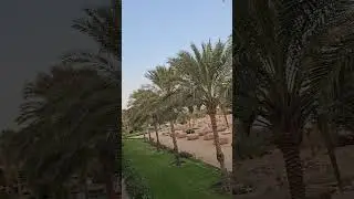 EG2511 first coffee in room balcony  Desert Rose Resort Hurghada Egypt 05
