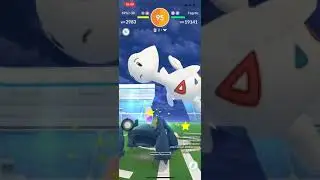 Togetic Duo Raid by Wolkenkirin and ErwinWuppertal