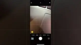 Как убрать Live Photo навсегда - фишка iPhone