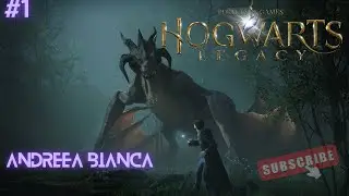 🔥Harry Potter | Hogwarts Legacy🔥 Ep1-Dupa ce s-a dus #hype-ul il jucam ca e moka @HogwartsLegacy