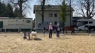 Stadl-Paura