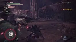 Funny moments in Monster Hunter World: IB