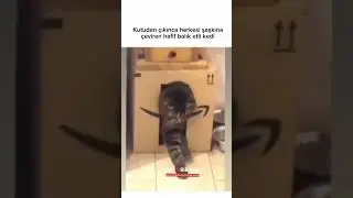 🔥G&uuml;venilir bahisin adresi FAVORİNİZ