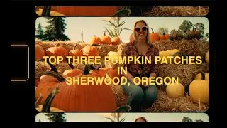 TOP THREE PUMPKIN PATCHES IN SHERWOOD, OREGON