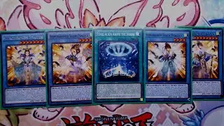 Shinobird Deck Profile June 2025