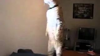 Куда то вдаль.