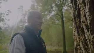 The Tallest Tree in Longleat Forest (and the UK)
