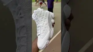Wolf grey 13