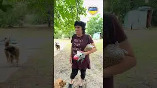 Лиман, Донеччина. Люди повертаються з мирних містечок&hellip; назад у це пекло.