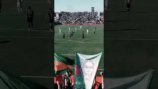 Busio goal #football #venezia #shorts