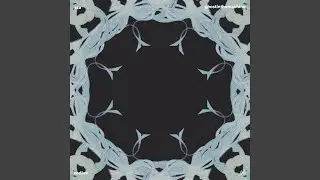 ghostinthemachine (+)