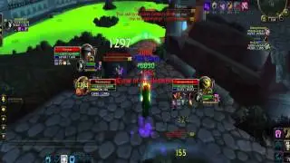 MoltenWow Feral/Disc Arena Fight 01