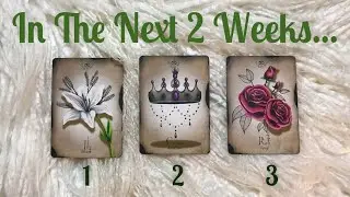 The Next 2 Weeks. 📆 What&lsquo;s Coming? What Can You Expect? // pick a card