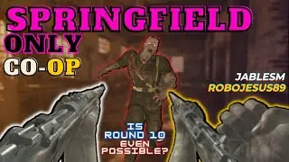 Springfield Only CO-OP | World at War Zombies