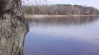 Island Lake Cabin 4 sale