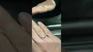 Sparkling diamond Tiffany Setting engagement ring