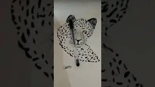 Drawing of cheetah lll STUDY WITH NEHAL lll magic