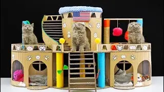 DIY Beautiful Cat House for Three Little Kittens