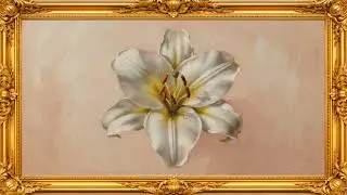 Soft Peach Lily Painting | Vintage Floral Oil Painting | Gold Frame TV Art 4K