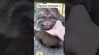 Tag your husband  ❤️😅 #viral #shorts #shubhanya #couplegoal #funny  #comedy