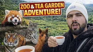 Darjeeling Me Mil Gaye Snow Leopards🐆- Zoo and Tea Garden Tour | Zoo me Dikha Red Panda🐼|