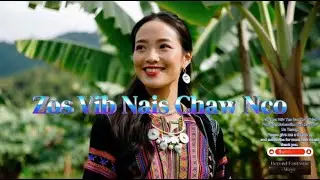 (Disco) Zos Vib Nais Chaw Nco (Male) By - BFM (Zaj Nkauj Khuv Xim Tus Hlub)