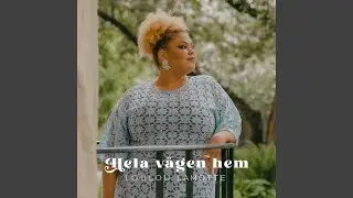 Hela vägen hem