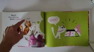 Scaredy Cats