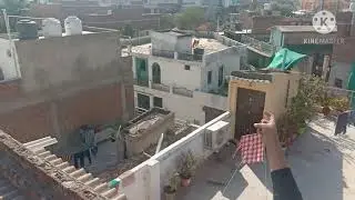 Loser will eat red chilli -kite flying challenge