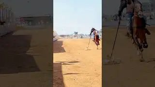 Tent￼packing🐴🤟🇮🇳 #reels #horse #youtubeshorts