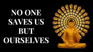GREAT BUDDHA QUOTES THAT WILL CHANGE YOUR MIND & LIFE ☯  BUDDHA QUOTES ON LIFE  ❤️