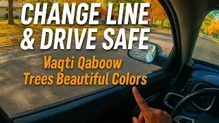 Change Line & Drive Safe &ndash; Waqti Qaboow & Trees Beautiful Colors 🍁