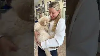 New puppy vlog! 🐶 #newpuppy