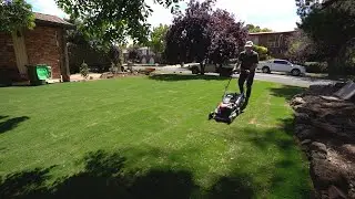 First Mow On Josh's TifTuf Lawn // Tips for New Turf (SOD)