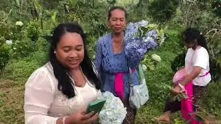 Listy Mepamit 12 Agustus 2025