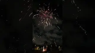 Bloody Chameleon | Bonfireworks | 25sh, 30mm | Demo Quartel